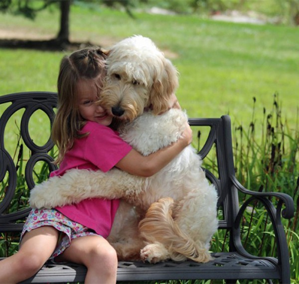 dog hugging stuffed animal