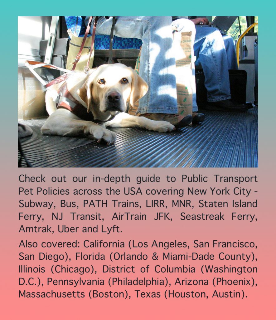 Public Transport Pet Policies across USA