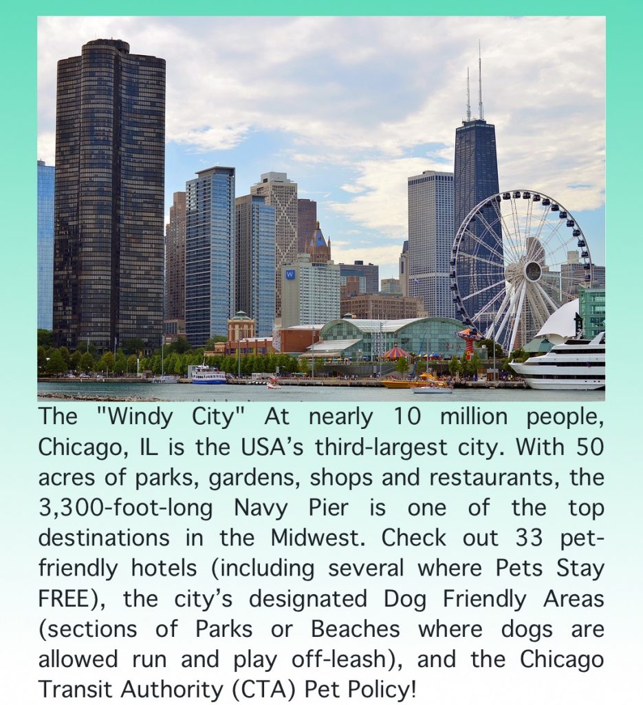 The Windy City Chicago Illinois