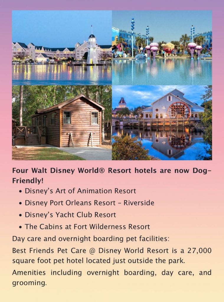 Dog Friendly Disney World Resort Hotels