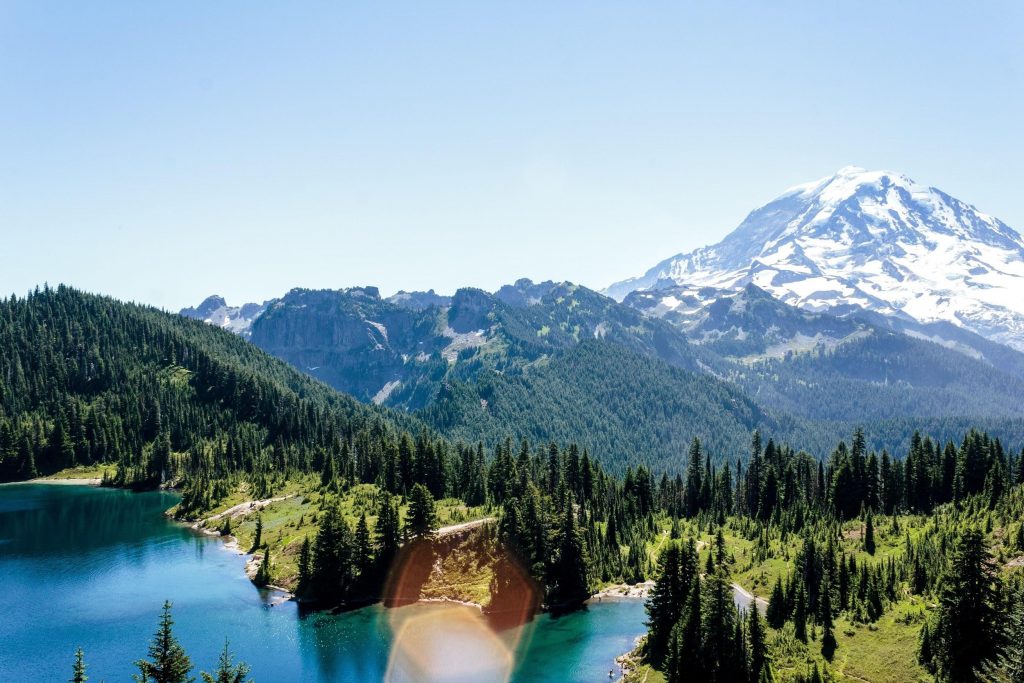 Mt. Rainier National Park, Washington in the Paciific Northwest (PNW)